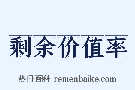 剩余价值率是什么意思的图片